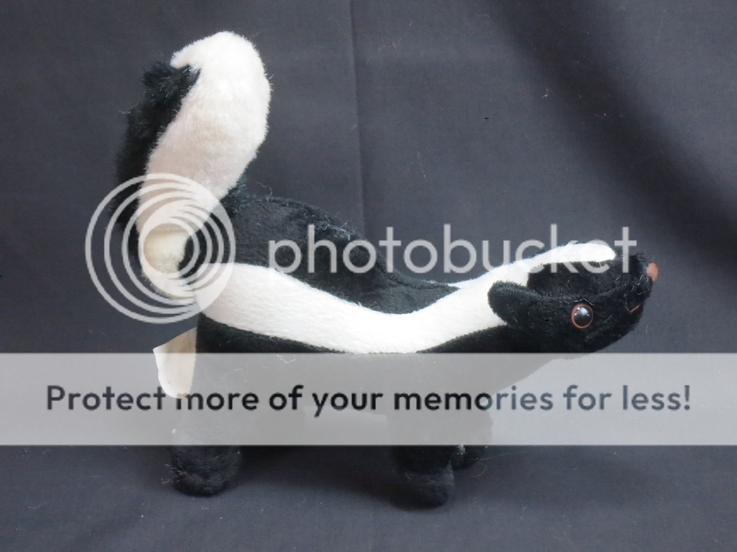 stuffed animal skunk toy